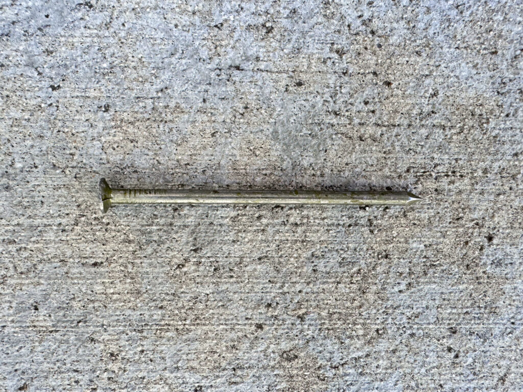 Single common nail