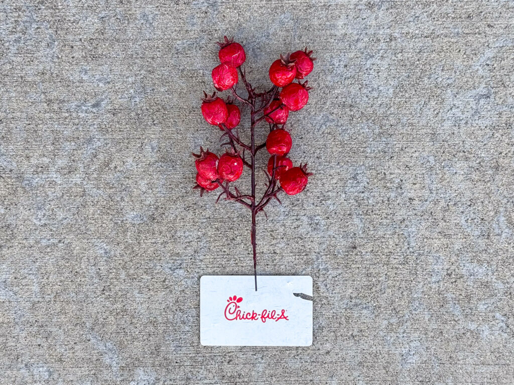 Decorative red artificial berry branch above a chipped and scuffed Chick-fil-A gift card…with $2.54 remaining!