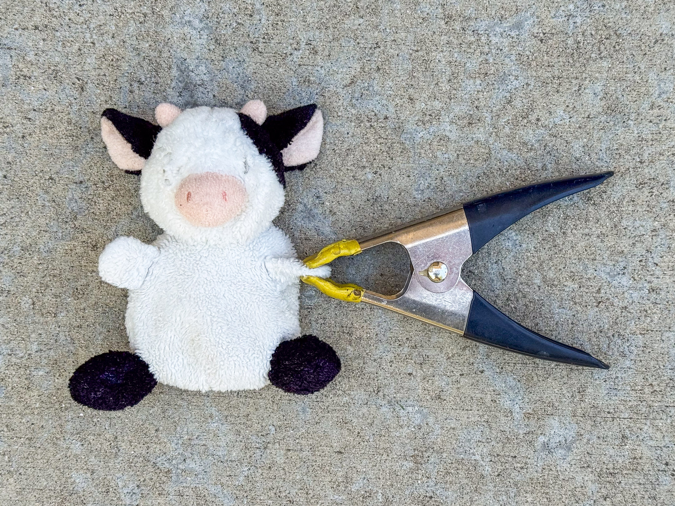A small, eyeless black and white plush cow toy with a pink snout is clamped by the arm in a Stanley spring clamp with black handles and yellow rubber tips.