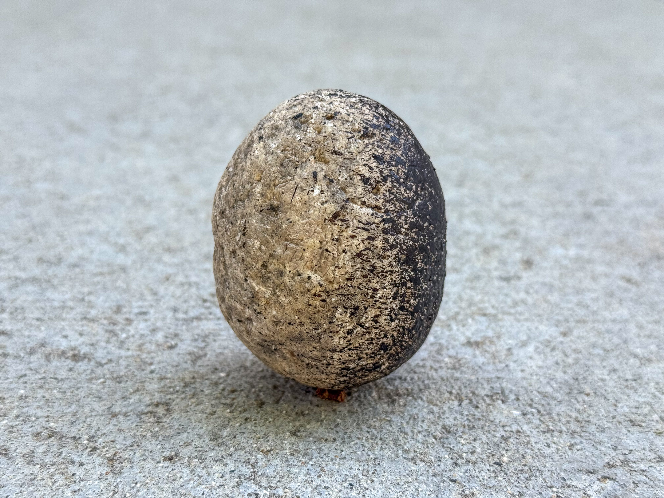 Rounded river rock with one half coated in dark road tar and the other half in its natural light stone color.