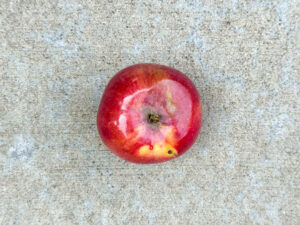 A single red apple with yellow patch and small worm hole.