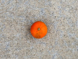 Single mandarin orange with a deep orange, slightly pebbled peel and a fresh stem scar. Likely a Tango mandarin based on seasonality.